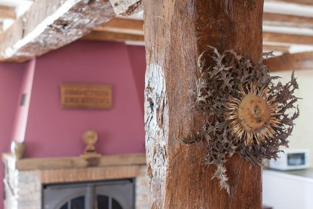 Casa Rural Enekoizar Abaurrea Alta 外观 照片